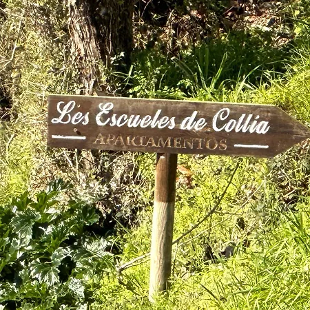 Apartamento Paraiso En A