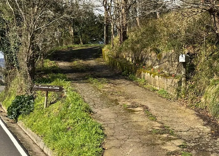 Paraiso En A Apartamento *